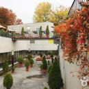 백남준로 이미지