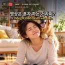 집에서 조용히 쉬기가 이렇게 어렵습니다 - Why Quiet Time Never Stays Quiet with Pets 이미지