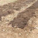 천리농장 이미지