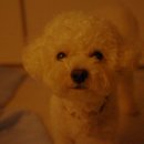 가평더뮤즈펜션 이미지