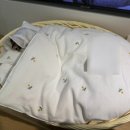 포포즈 반려동물장례식장 화성점 이미지