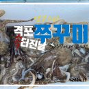 격포남부낚시