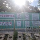 용곡1리 Daum카페