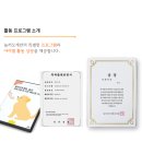 놀러오개 애견유치원 애견호텔 김해점 | 🐾 김해의 특별한 강아지 유치원 &amp; 호텔, 놀러오개 김해점! 🎉
