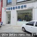 다나음동물병원 | 나음동물의료센터 퀘이커 앵무새 PBFD, PDD 질병검사 후기