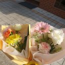 오델드 플레르 이미지