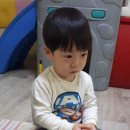 카튼노래 이미지