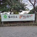 성읍민속로 이미지