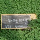 허브와풍뎅이 이미지