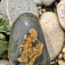 상구민박 이미지