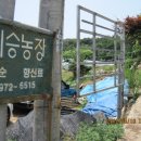 희승농장 이미지