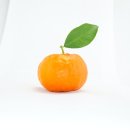 오렌지 이미지