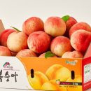 치악산농장 이미지