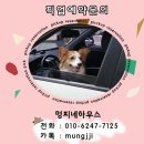 아리유치원 이미지