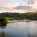 필드 골프클럽 이미지