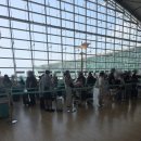 산동 | 칭따오 여행 산동항공 이용 후기 가성비 좋은 중국 항공사 솔직 리뷰