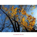 종로-종로-종로-종-114 이미지