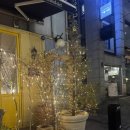 윤정스토어 이미지