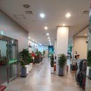 JS골프존 이미지