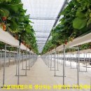 다온농장 이미지