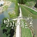 하비라이프