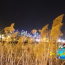 들성생태공원 이미지