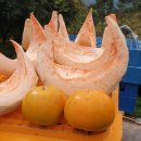 대길농장 이미지