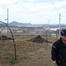 도열농장 이미지