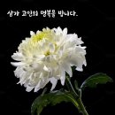 일화방