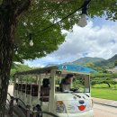 강이주는맛집 | [문경] 문경새재 / 얼큰한 매운탕, 해물탕 '강이주는 맛집'