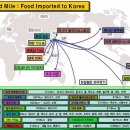 우리손푸드