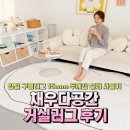 공간을채우다 | 채우다공간 거실러그 후기 | 양털 구름러그 15mm 두께감 실제 사용기