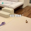 안녕, 펫 | 강아지 미끌림방지 매트로 퍼핑 펫매트 개봉 후기