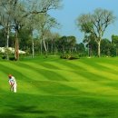 황제골프 이미지