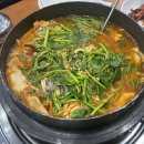 동강나루터