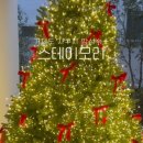 스테이모리 이미지