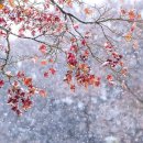 기억의 조각들1 이미지