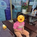 바다풍경펜션 | 울릉도펜션 - 바다앞 바다풍경펜션 머문 후기