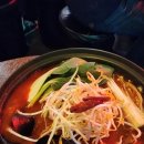 주주애견 이미지