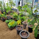 계욱농장 이미지