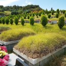 강원장의사 이미지