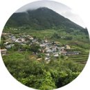다랭이팜영농조합법인 | 논 위에 논 논둑은 꼬부랑 할배, 남해 가천다랭이마을