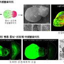 어셈블 헬스코리아뉴스