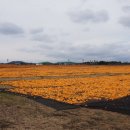 신천목장 이미지