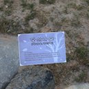 성우오스타 이미지