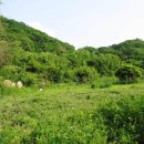 설악농장 이미지