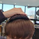 디스토리 | [디스토리헤어] 의정부 가능동 미용실 추천 염색후기