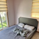 하이플레임 스테이 이미지