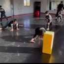 라온 합기도 이미지