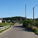 대곡천제방길 이미지